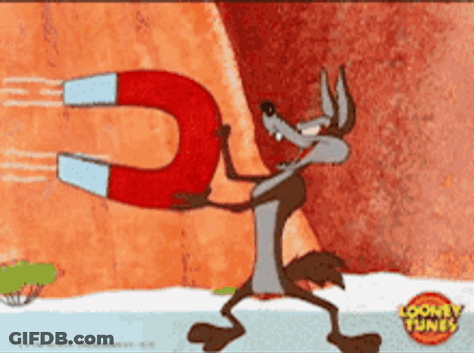 Magnet Wile E. Coyote Looney Tunes Funny Scene GIF