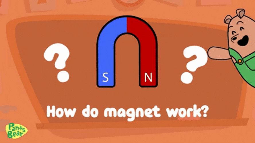 Magnet Work Explain Pants Bear GIF