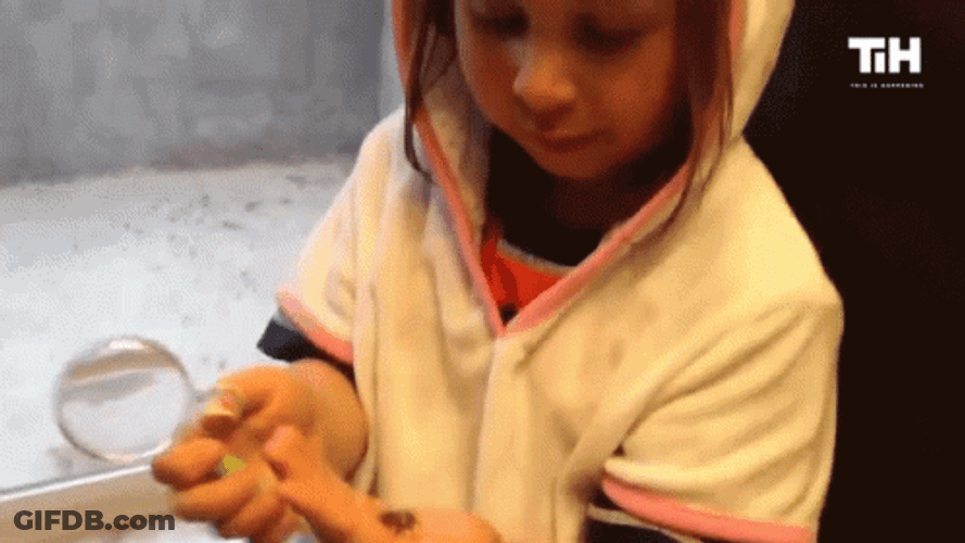 Magnifying Glass GIF