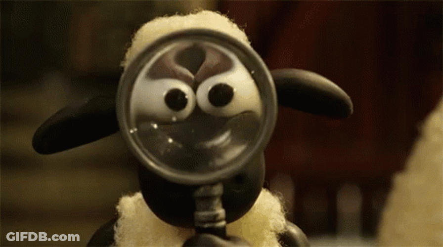 Magnifying Glass Over Puppet Sheep Face GIF