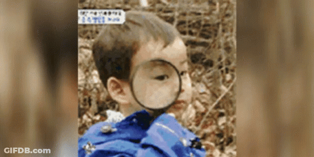 Magnifying Glass GIF