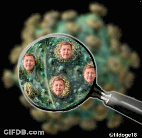 Magnifying Glass With Man Face GIF