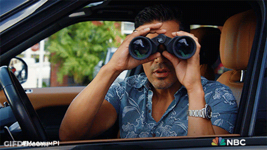 Magnum Pi Spy GIF