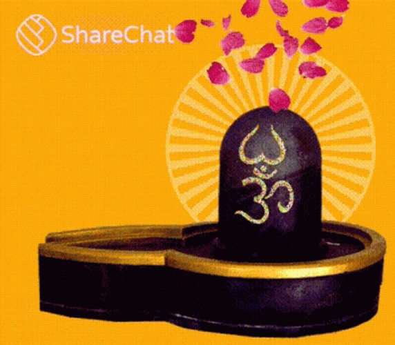 Mahadev Shiva Flower Petals Fountain GIF