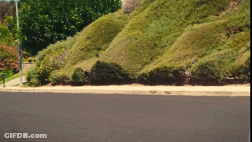 Mailbox On Road Next To Hill GIF