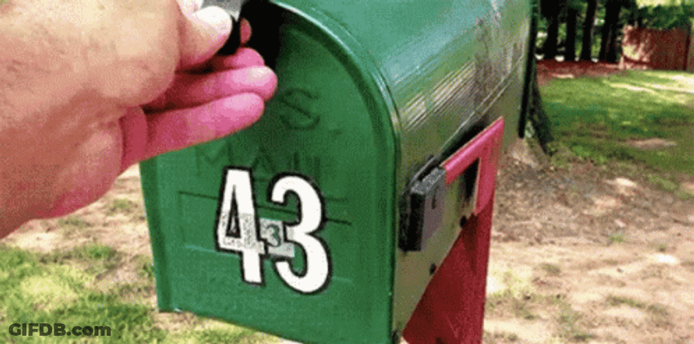Mailing Box Cute Dog GIF