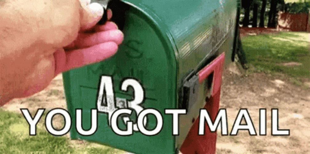 Mailing Box Dog You Got Mail Meme GIF