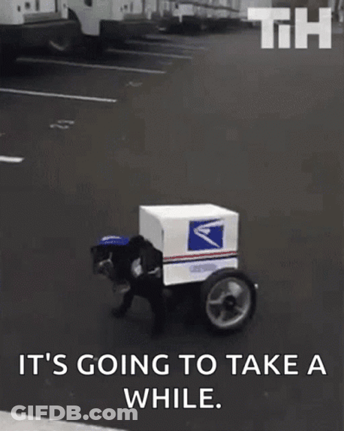 Mailing Delivery Truck Dog Meme GIF