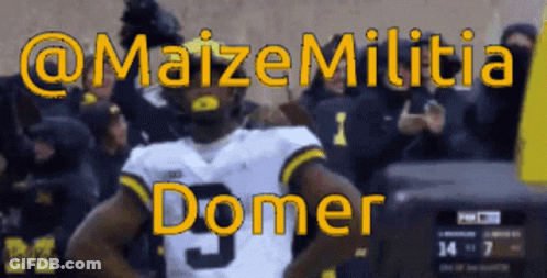 Maizemilitia Michigan GIF