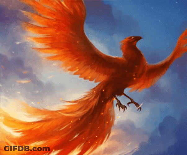 Majestic Phoenix Creative Art GIF