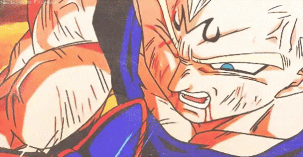 Majin Vegeta Vs. Goku GIF