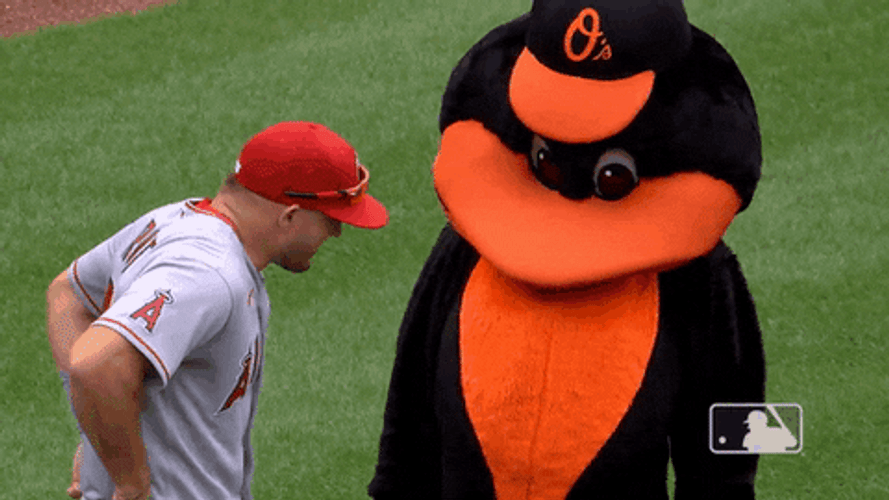 Major League Mike Trout Handshakes A Mascot GIF