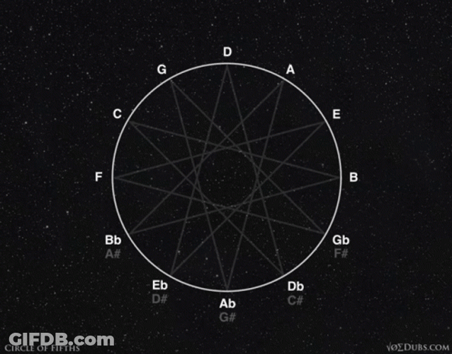 Major Scales Circle Of Life GIF