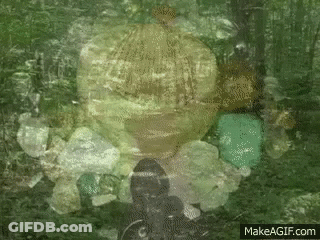 Make A GIF Website Displayed In Corner GIF