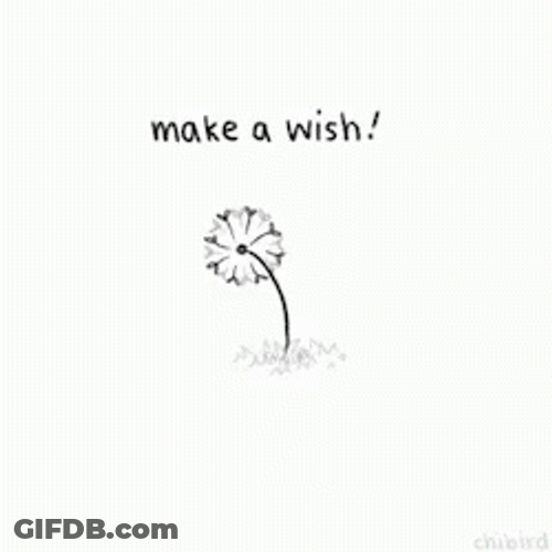 Make A Wish After Countdown Then Blow GIF