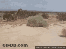 Make Gifs At Gifsoup.com Is Displayed At The Bottom Of This Desert Landscape GIF