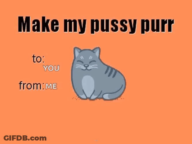 Make My Cat Purr To You GIF
