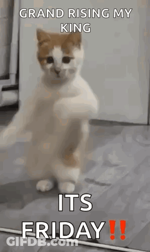 Makeagif.com At Bottom Of Screen GIF