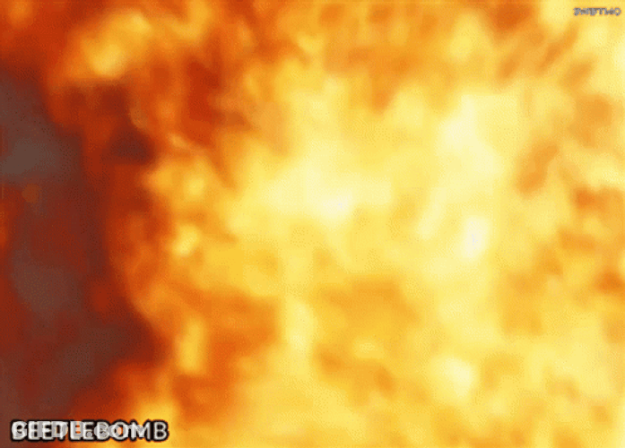 Makes Me Want A Hot Dog Beetle Bomb GIF