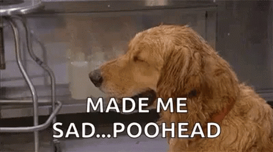 Makes Me Want A Hot Dog Made Me Sad GIF