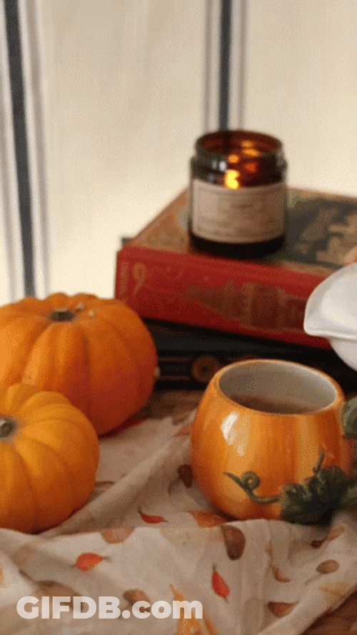 Making Psl In Tiny Pumpkin Mug GIF