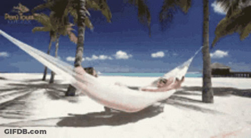 Maldives Clear Water GIF
