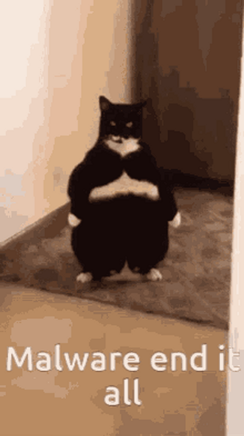 Malware Fat Cat Memes GIF