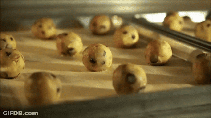 Mama May I Have Cookie Freshly Baked GIF
