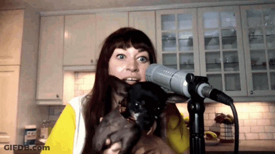 Mamrie Hart Dancing Dog GIF