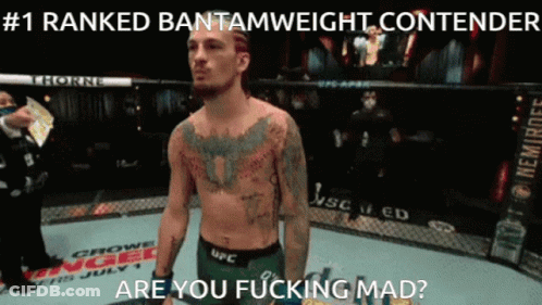 Man #1 UFC Bantamweight Are You Fucking Mad GIF