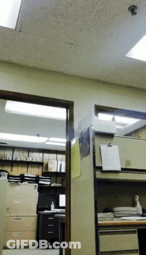 Man Acrobatic Amaze Cartwheel GIF