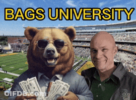 Man And Bear With Bags University GIF
