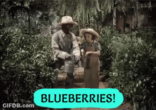Man And Boy In Garden With Blueberries Sign GIF