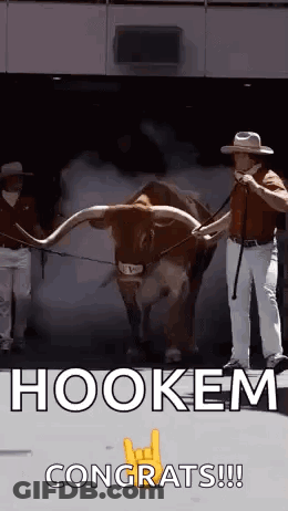 Man And Bull With Long Horns Hookem Congrats GIF