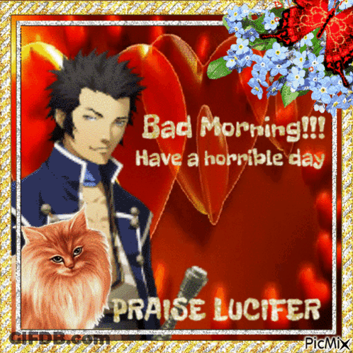 Man And Cat Bad Morning Horrible Day GIF