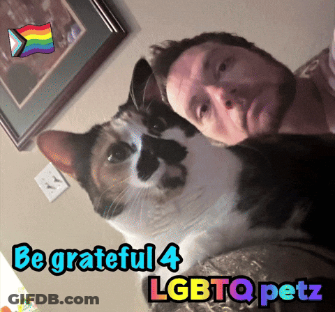 Man And Cat Be Grateful 4 LGBTQ Petz GIF