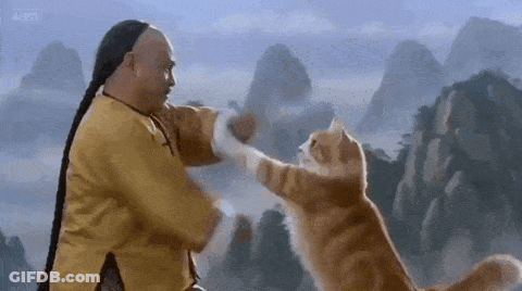 Man And Cat Fighting Before Mountain GIF