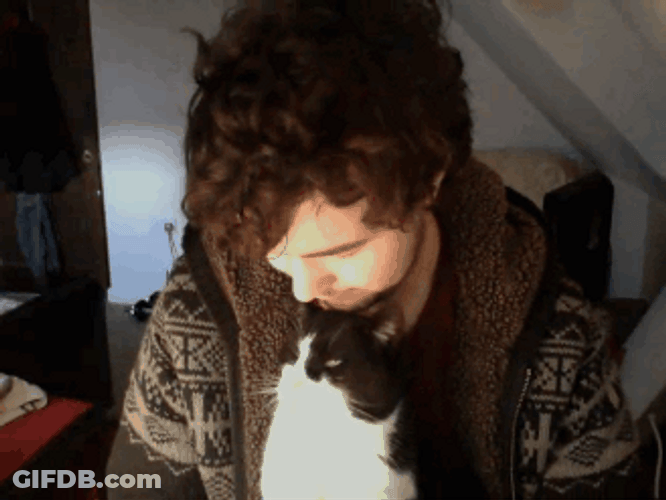 Man And Cat Kiss You GIF