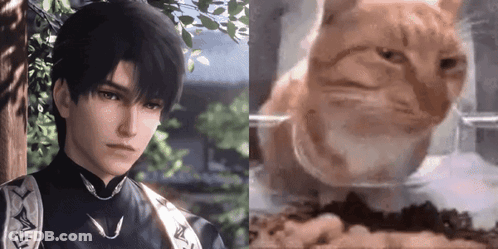Man And Cat Looking At Each Other GIF