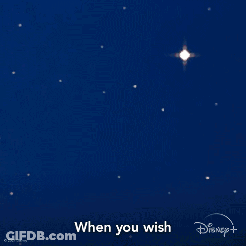 Man And Cat Looking Out Window Upon A Star GIF