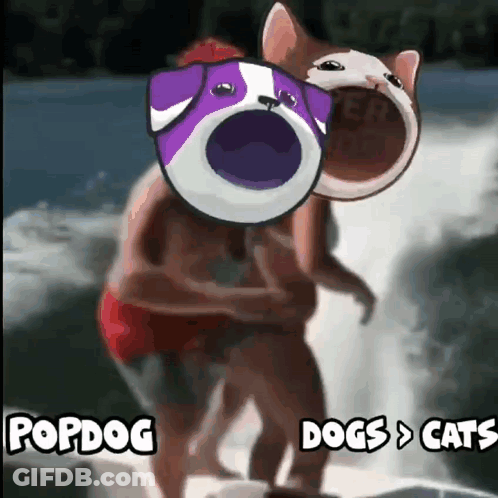Man And Cat Riding Surfboard Popdog Dogs And Cats GIF