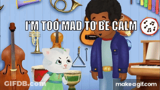 Man And Cat Saying I'm Too Mad To Be Calm GIF