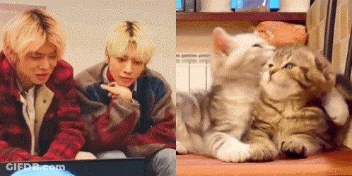Man And Cat Sitting Next To Each Other GIF