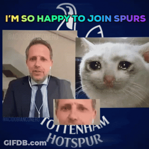 Man And Cat So Happy To Join Spurs GIF