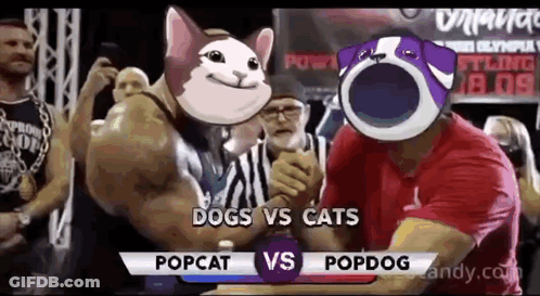 Man And Cat Standing In Front Of Crowd GIF