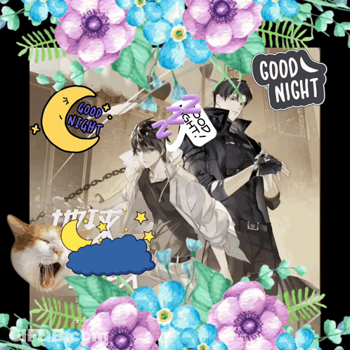Man And Cat With Good Night Sticker GIF