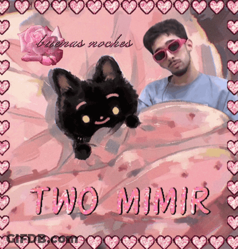 Man And Cat With Two Mimir GIF