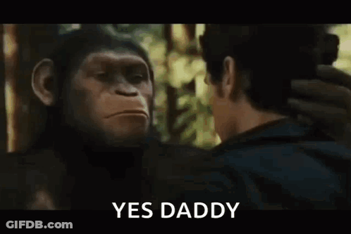 Man And Chimpanzee Saying Yes Daddy GIF