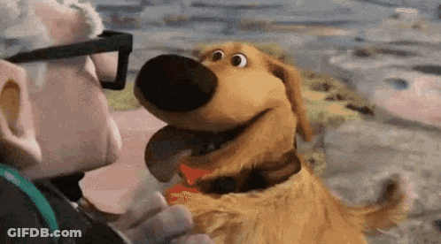 Man And Dog From Up Hugging GIF