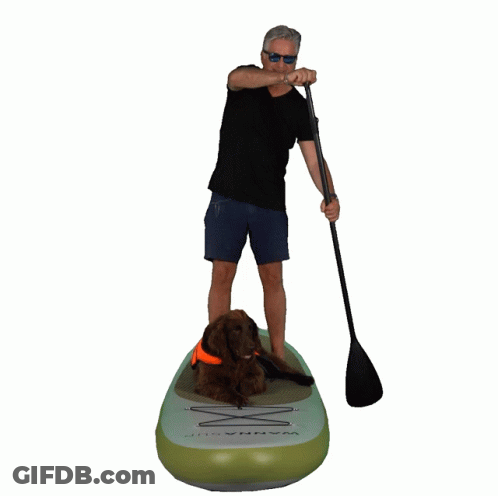 Man And Dog On Aqua Paddle Board GIF